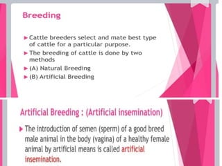 Improvement in food resources class 9.ppt