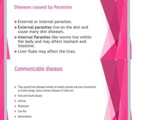 Improvement in food resources class 9.ppt