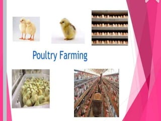 Improvement in food resources class 9.ppt