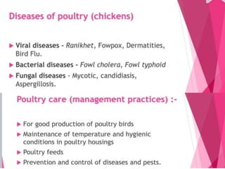 Improvement in food resources class 9.ppt
