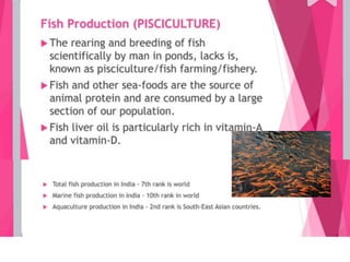 Improvement in food resources class 9.ppt