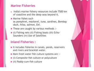 Improvement in food resources class 9.ppt