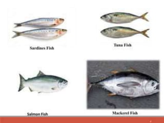 Improvement in food resources class 9.ppt