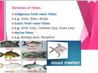 Improvement in food resources class 9.ppt