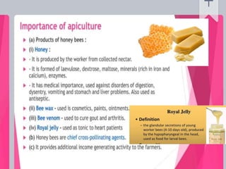 Improvement in food resources class 9.ppt