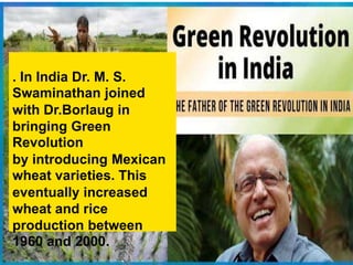 . In India Dr. M. S.
Swaminathan joined
with Dr.Borlaug in
bringing Green
Revolution
by introducing Mexican
wheat varieties. This
eventually increased
wheat and rice
production between
1960 and 2000.
 