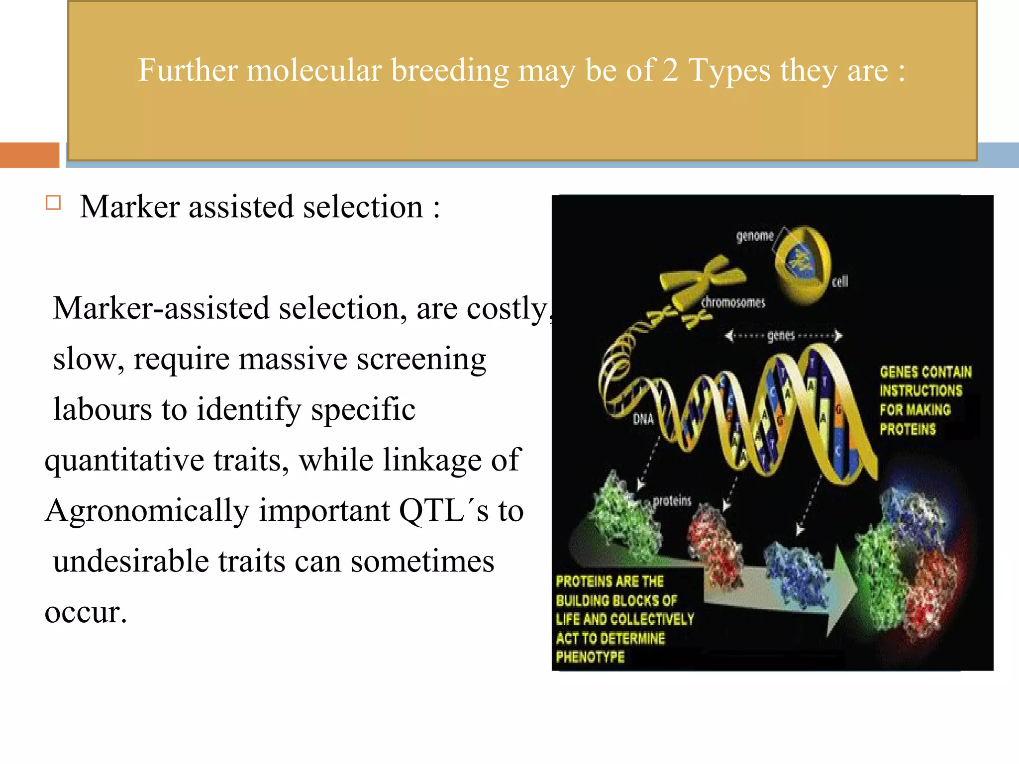 Further molecular breeding may be of 2 Types they are : 
 Marker assisted selection : 
Marker-assisted selection, are costly, 
slow, require massive screening 
labours to identify specific 
quantitative traits, while linkage of 
Agronomically important QTL´s to 
undesirable traits can sometimes 
occur. 
 