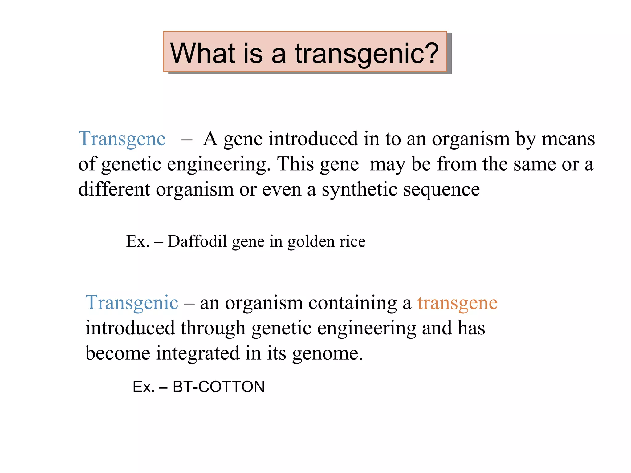 WWhhaatt iiss aa ttrraannssggeenniicc?? 
Transgene – A gene introduced in to an organism by means 
of genetic engineering. This gene may be from the same or a 
different organism or even a synthetic sequence 
Ex. – Daffodil gene in golden rice 
Transgenic – an organism containing a transgene 
introduced through genetic engineering and has 
become integrated in its genome. 
Ex. – BT-COTTON 
 