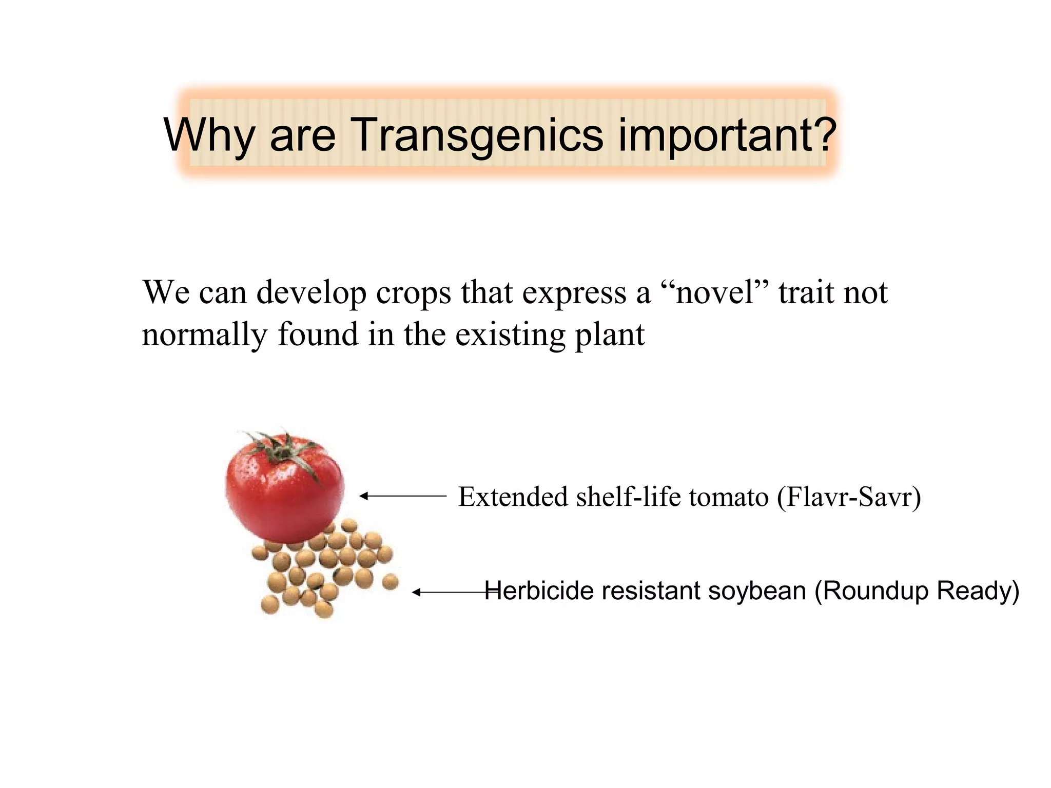 Why are Transgenics important? 
We can develop crops that express a “novel” trait not 
normally found in the existing plant 
Extended shelf-life tomato (Flavr-Savr) 
Herbicide resistant soybean (Roundup Ready) 
 