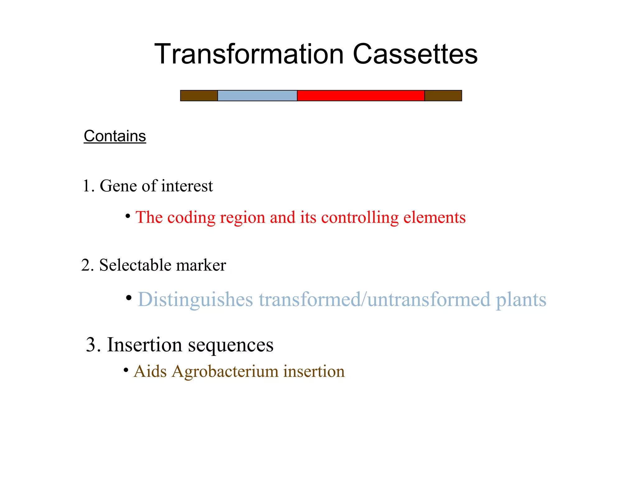 Transformation Cassettes 
Contains 
1. Gene of interest 
• The coding region and its controlling elements 
2. Selectable marker 
• Distinguishes transformed/untransformed plants 
3. Insertion sequences 
• Aids Agrobacterium insertion 
 
