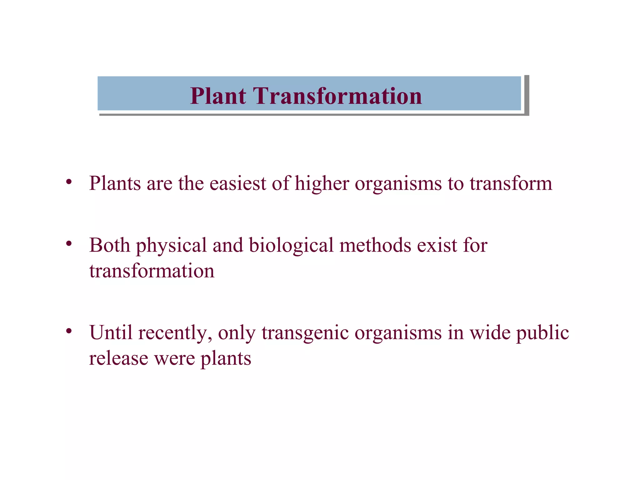 PPllaanntt TTrraannssffoorrmmaattiioonn 
• Plants are the easiest of higher organisms to transform 
• Both physical and biological methods exist for 
transformation 
• Until recently, only transgenic organisms in wide public 
release were plants 
 