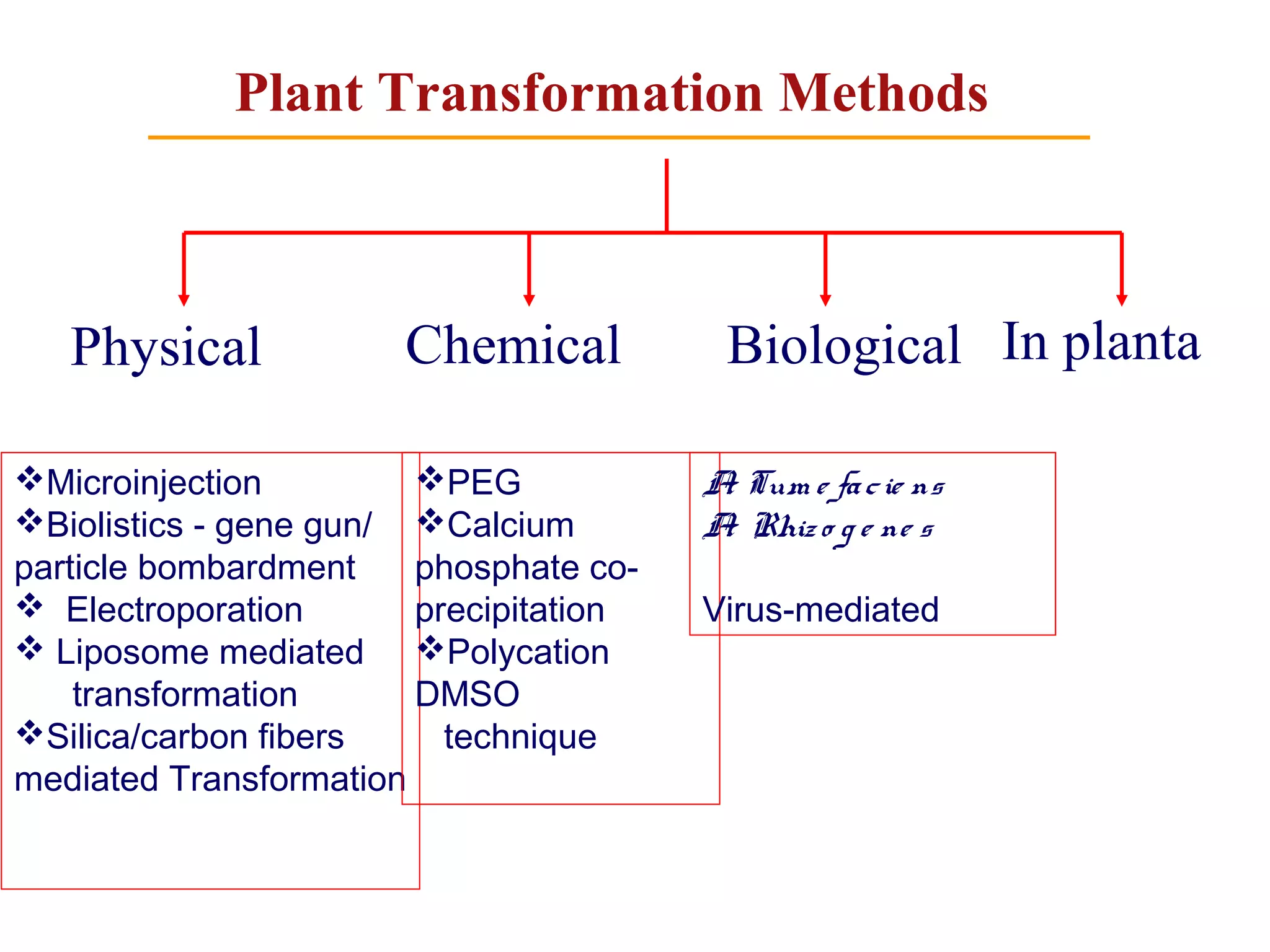 Plant Transformation Methods 
Physical Chemical Biological 
Microinjection 
Biolistics - gene gun/ 
particle bombardment 
 Electroporation 
 Liposome mediated 
transformation 
Silica/carbon fibers 
mediated Transformation 
PEG 
Calcium 
phosphate co-precipitation 
Polycation 
DMSO 
technique 
A. Tum e fa c ie ns 
A. Rhiz o g e ne s 
Virus-mediated 
In planta 
 