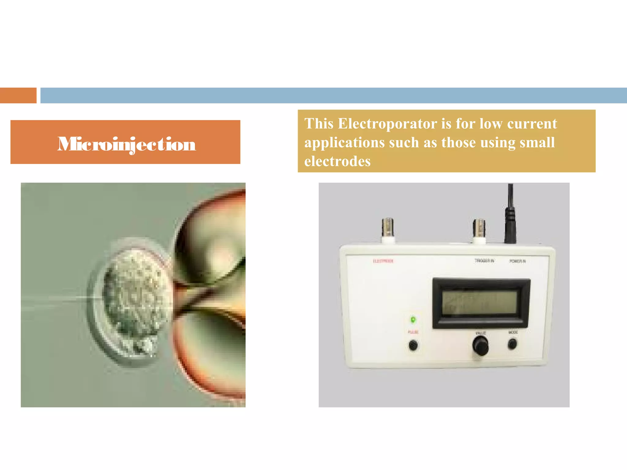 Microinjection 
This Electroporator is for low current 
applications such as those using small 
electrodes 
 