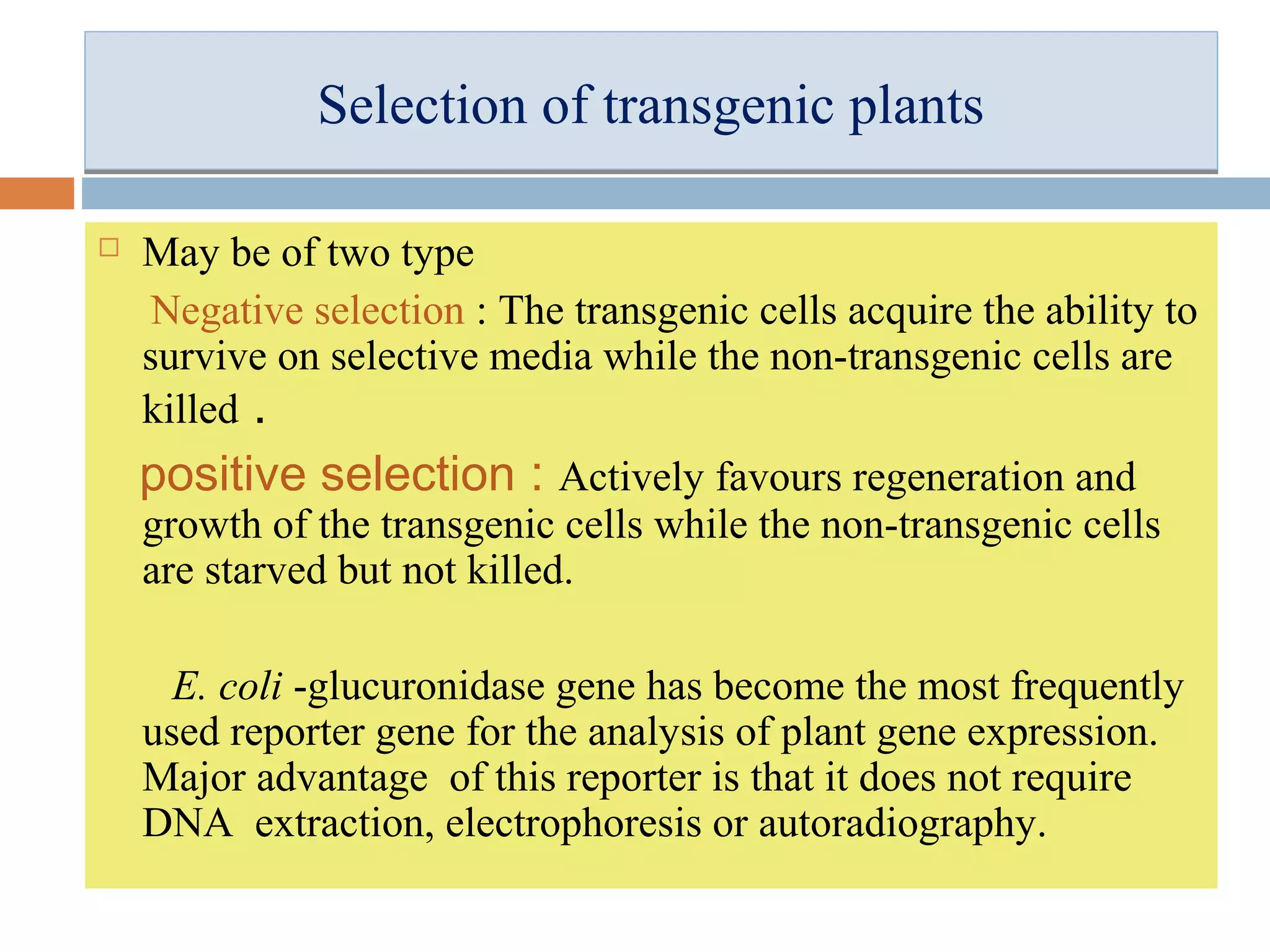 SSeelleeccttiioonn ooff ttrraannssggeenniicc ppllaannttss 
 May be of two type 
Negative selection : The transgenic cells acquire the ability to 
survive on selective media while the non-transgenic cells are 
killed . 
positive selection : Actively favours regeneration and 
growth of the transgenic cells while the non-transgenic cells 
are starved but not killed. 
E. coli -glucuronidase gene has become the most frequently 
used reporter gene for the analysis of plant gene expression. 
Major advantage of this reporter is that it does not require 
DNA extraction, electrophoresis or autoradiography. 
 