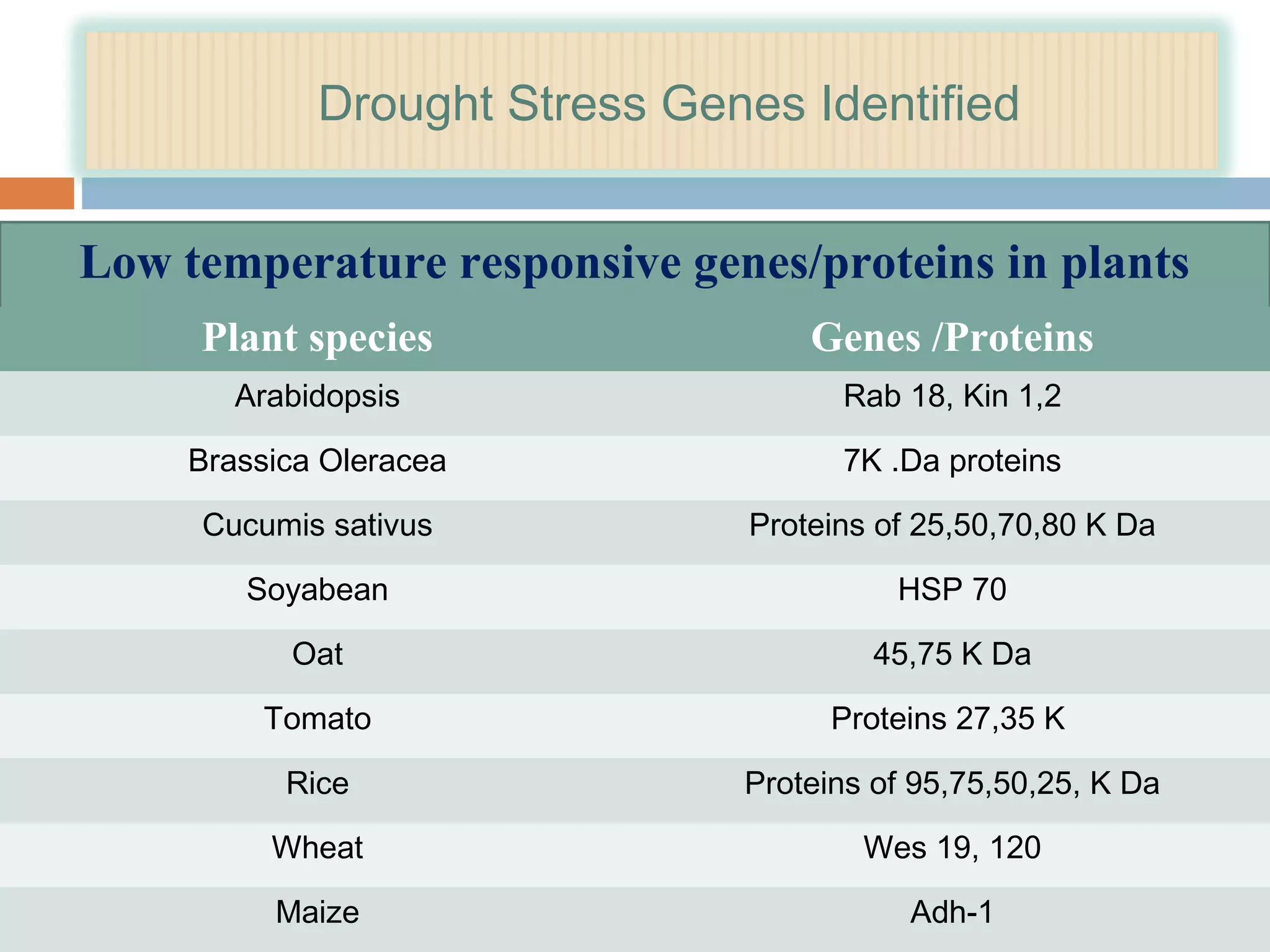 Drought Stress Genes Identified 
Low temperature responsive genes/proteins in plants 
Plant species Genes /Proteins 
Arabidopsis Rab 18, Kin 1,2 
Brassica Oleracea 7K .Da proteins 
Cucumis sativus Proteins of 25,50,70,80 K Da 
Soyabean HSP 70 
Oat 45,75 K Da 
Tomato Proteins 27,35 K 
Rice Proteins of 95,75,50,25, K Da 
Wheat Wes 19, 120 
Maize Adh-1 
 