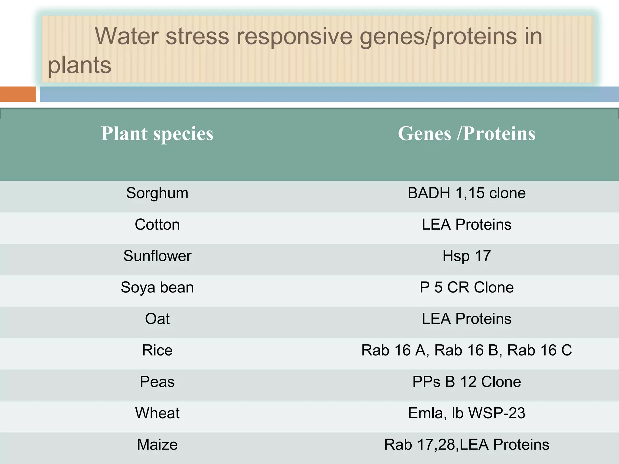 Water stress responsive genes/proteins in 
plants 
Plant species Genes /Proteins 
Sorghum BADH 1,15 clone 
Cotton LEA Proteins 
Sunflower Hsp 17 
Soya bean P 5 CR Clone 
Oat LEA Proteins 
Rice Rab 16 A, Rab 16 B, Rab 16 C 
Peas PPs B 12 Clone 
Wheat Emla, lb WSP-23 
Maize Rab 17,28,LEA Proteins 
 