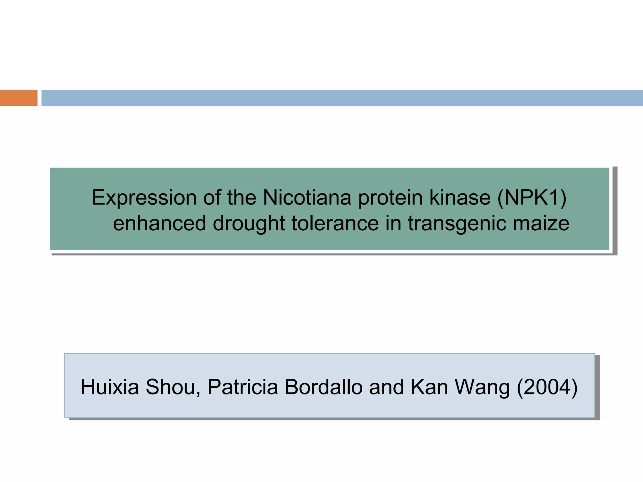 Expression of the Nicotiana protein kinase (NPK1) 
enhanced drought tolerance in transgenic maize 
Expression of the Nicotiana protein kinase (NPK1) 
enhanced drought tolerance in transgenic maize 
Huixia Shou, Patricia Bordallo Huixia Shou, Patricia Bordallo aanndd KKaann WWaanngg ((22000044)) 
 
