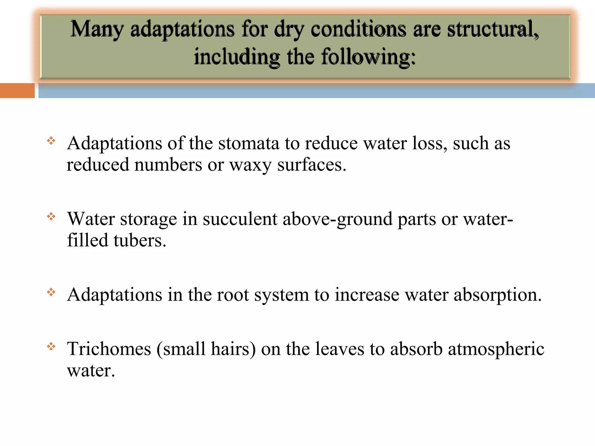 Many adaptations for dry conditions are structural, 
including the following: 
 Adaptations of the stomata to reduce water loss, such as 
reduced numbers or waxy surfaces. 
 Water storage in succulent above-ground parts or water-filled 
tubers. 
 Adaptations in the root system to increase water absorption. 
 Trichomes (small hairs) on the leaves to absorb atmospheric 
water. 
 