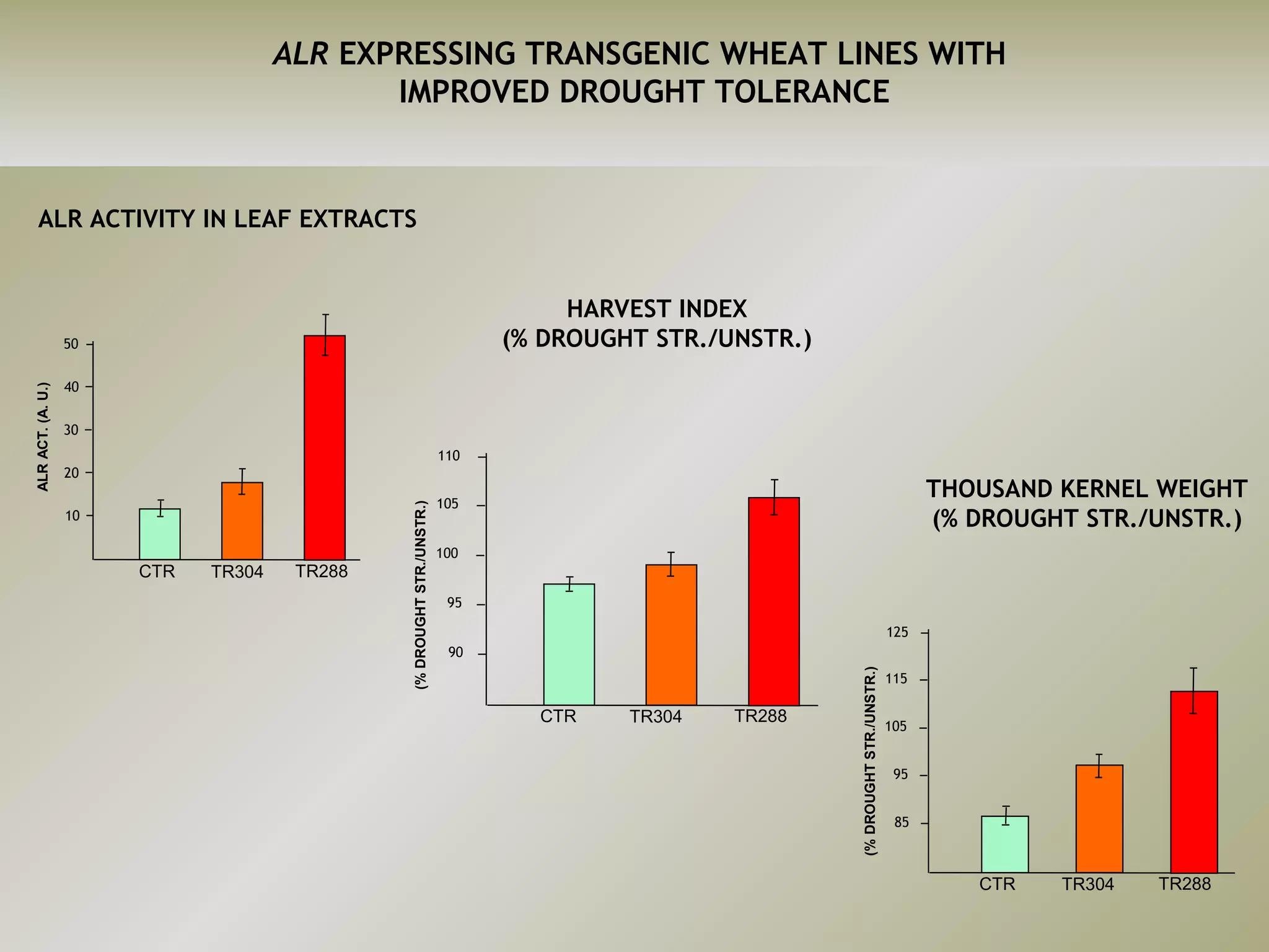 ALR EXPRESSING TRANSGENIC WHEAT LINES WITH 
IMPROVED DROUGHT TOLERANCE 
ALR ACTIVITY IN LEAF EXTRACTS 
CTR 
ALR ACT. (A. U.) 
50 
40 
30 
20 
10 
TR304 TR288 
CTR 
(% DROUGHT STR./UNSTR.) 
110 
105 
100 
90 
HARVEST INDEX 
(% DROUGHT STR./UNSTR.) 
95 
TR304 TR288 
THOUSAND KERNEL WEIGHT 
(% DROUGHT STR./UNSTR.) 
CTR 
125 
115 
105 
95 
85 
TR304 TR288 
(% DROUGHT STR./UNSTR.) 
 