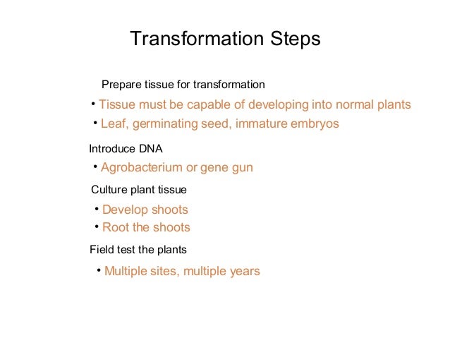 in cotton chemical elements found Improvement of genetic through tolerance engineering drought