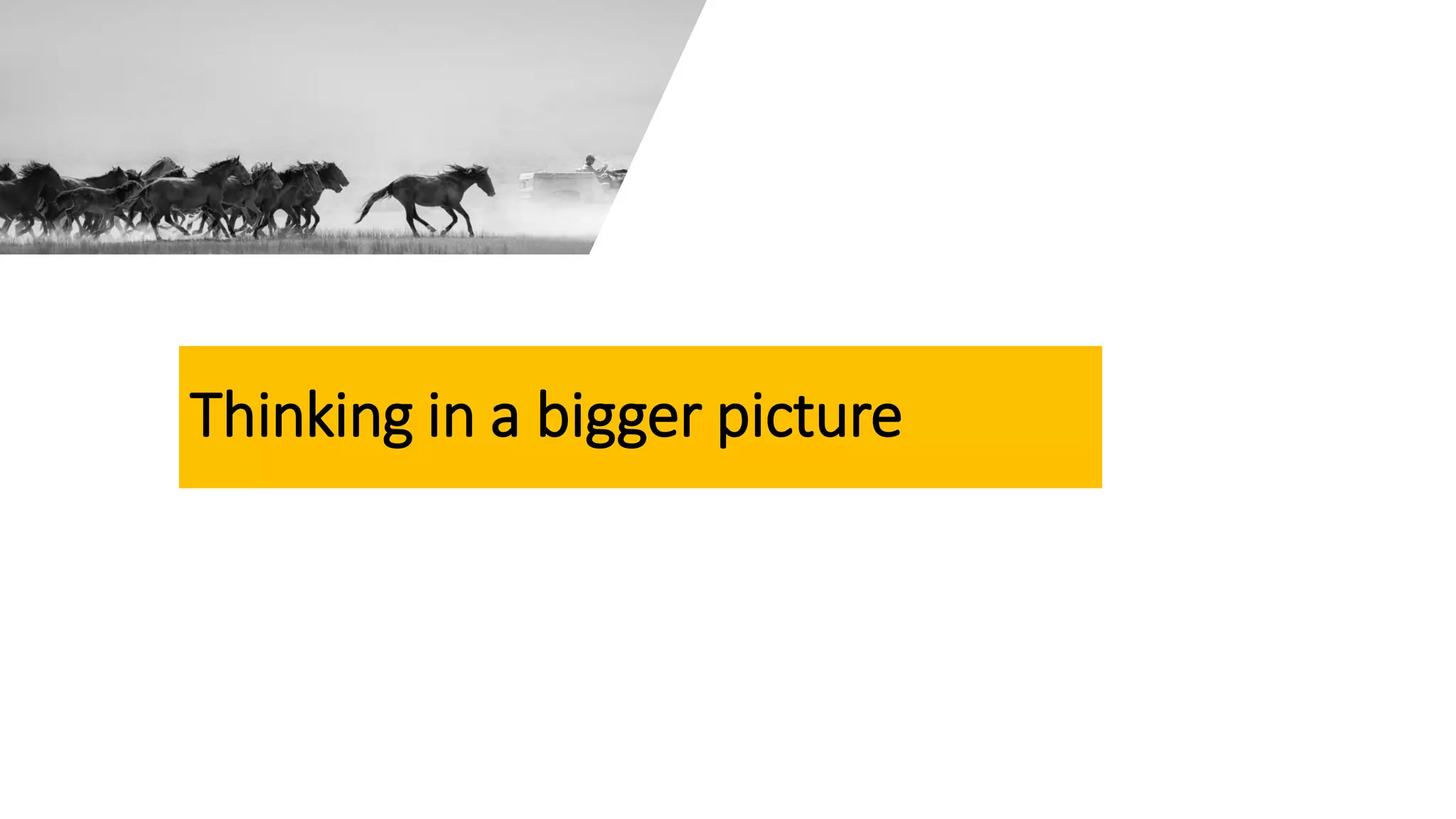 Thinking in a bigger picture
 