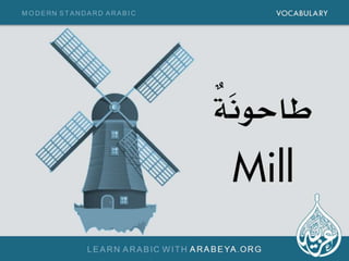 Improve your vocabulary and learn new modern standard arabic words