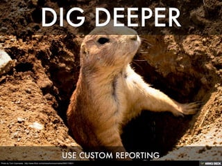 Photo by Tom Csizmadia - http://www.flickr.com/photos/tomicsizmadia/2565172901/
 