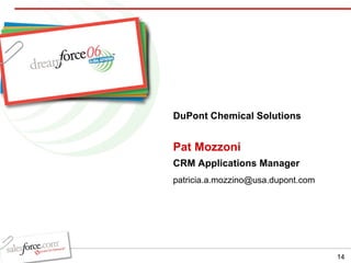 Pat Mozzoni CRM Applications Manager DuPont Chemical Solutions [email_address] 