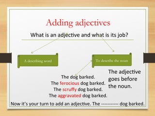 Adding adjectives
What is an adjective and what is its job?
A describing word To describe the noun
The dog barked.
The ferocious dog barked.
The scruffy dog barked.
The aggravated dog barked.
Now it’s your turn to add an adjective. The ----------- dog barked.
The adjective
goes before
the noun.
 