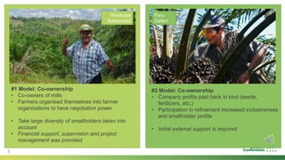 Improving smallholder inclusiveness in palm oil production