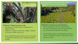 Improving smallholder inclusiveness in palm oil production