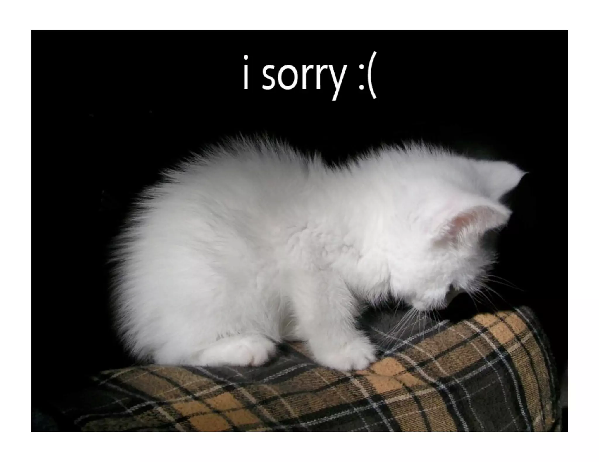 Improving The Performance of Your Web App