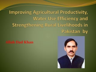 Improving agricultural productivity A Presentation By Mr Allah Dad Khan ...