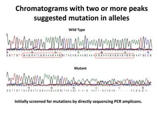 Chromatograms with two or more peaks
suggested mutation in alleles
Wild Type
Mutant
Initially screened for mutations by directly sequencing PCR amplicons.
 