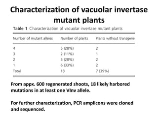 Characterization of vacuolar invertase
mutant plants
From appx. 600 regenerated shoots, 18 likely harbored
mutations in at least one VInv allele.
For further characterization, PCR amplicons were cloned
and sequenced.
 