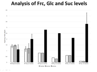 Analysis of Frc, Glc and Suc levels
 