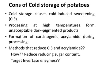 Cons of Cold storage of potatoes
• Cold storage causes cold-induced sweetening
(CIS).
• Processing at high temperatures form
unacceptable dark-pigmented products.
• Formation of carcinogenic acrylamide during
processing.
• Methods that reduce CIS and acrylamide??
How?? Reduce reducing sugar content.
Target Invertase enzymes??
 