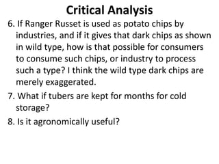 Critical Analysis
6. If Ranger Russet is used as potato chips by
industries, and if it gives that dark chips as shown
in wild type, how is that possible for consumers
to consume such chips, or industry to process
such a type? I think the wild type dark chips are
merely exaggerated.
7. What if tubers are kept for months for cold
storage?
8. Is it agronomically useful?
 