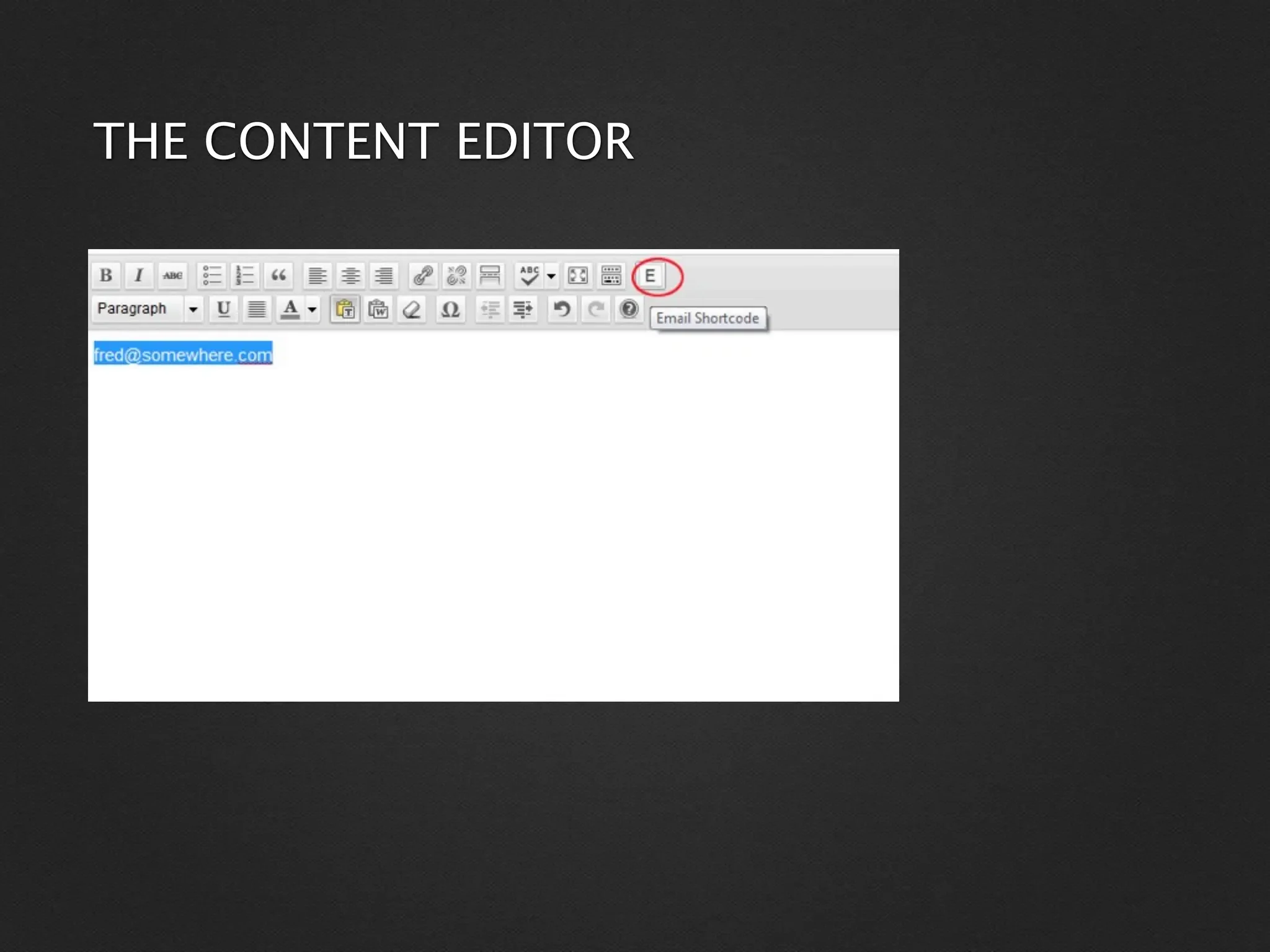 THE CONTENT EDITOR
 