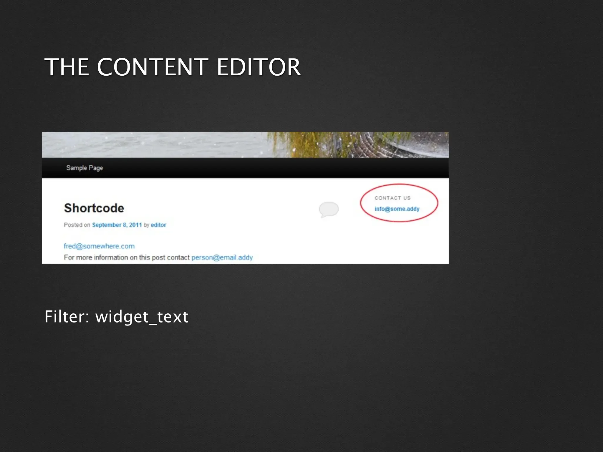 THE CONTENT EDITOR




Filter: widget_text
 