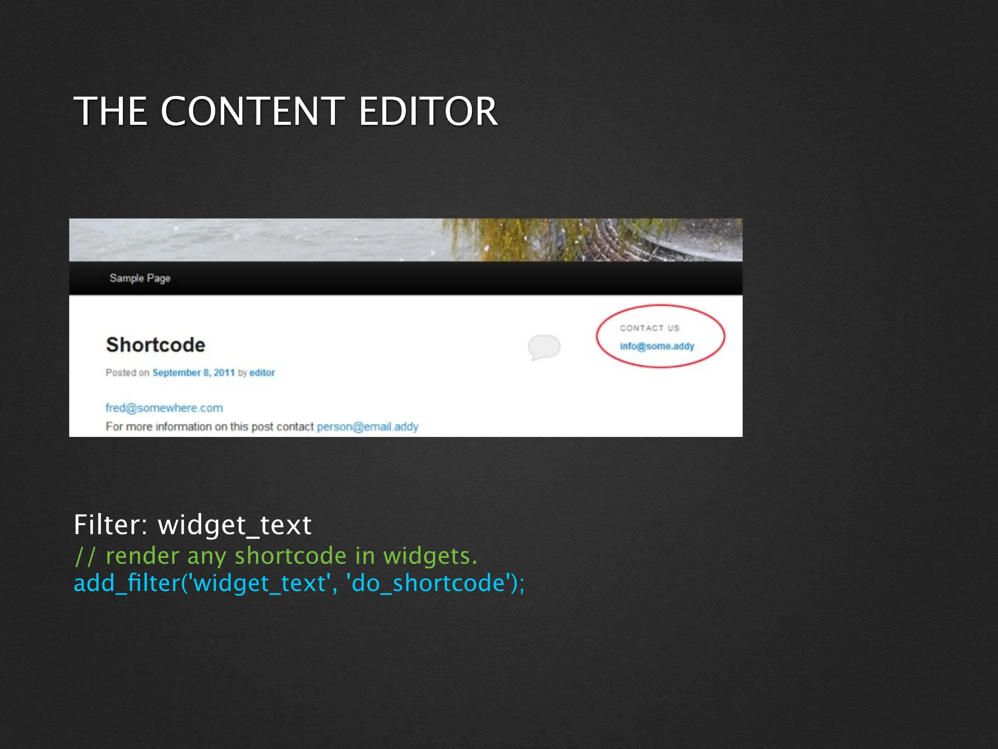 THE CONTENT EDITOR




Filter: widget_text
// render any shortcode in widgets.
add_ﬁlter('widget_text', 'do_shortcode');
 