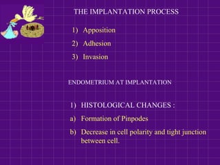 THE IMPLANTATION PROCESS
ENDOMETRIUM AT IMPLANTATION
1) Apposition
2) Adhesion
3) Invasion
1) HISTOLOGICAL CHANGES :
a) Formation of Pinpodes
b) Decrease in cell polarity and tight junction
between cell.
 