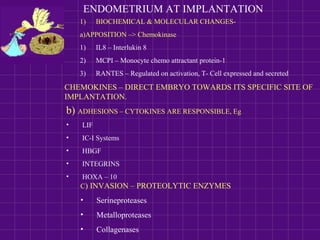 ENDOMETRIUM AT IMPLANTATION
C) INVASION – PROTEOLYTIC ENZYMES
• Serineproteases
• Metalloproteases
• Collagenases
1) BIOCHEMICAL & MOLECULAR CHANGES-
a)APPOSITION –> Chemokinase
1) IL8 – Interlukin 8
2) MCPI – Monocyte chemo attractant protein-1
3) RANTES – Regulated on activation, T- Cell expressed and secreted
CHEMOKINES – DIRECT EMBRYO TOWARDS ITS SPECIFIC SITE OF
IMPLANTATION.
b) ADHESIONS – CYTOKINES ARE RESPONSIBLE, Eg..
• LIF
• IC-I Systems
• HBGF
• INTEGRINS
• HOXA – 10
 