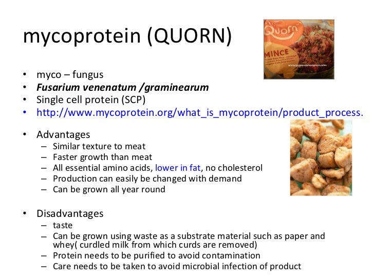 Improving Food Production improving-food-production