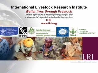 Improving food safety and quality in traditional dairy value chain in Assam: An assessment of economic impact