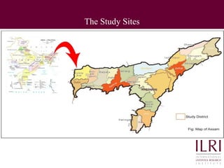 Improving food safety and quality in traditional dairy value chain in Assam: An assessment of economic impact