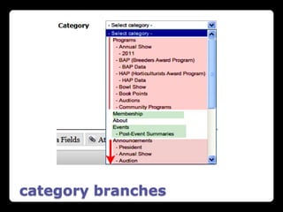 category branches
 