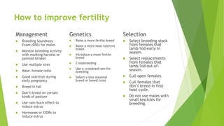How to improve fertility
Management
 Breeding Soundness
Exam (BSE) for males
 Monitor breeding activity
with marking harness or
painted brisket
 Use multiple sires
 Male: female ratio
 Good nutrition during
early pregnancy
 Breed in fall
 Don’t breed on certain
kinds of pasture
 Use ram/buck effect to
induce estrus
 Hormones or CIDRs to
induce estrus
Genetics
 Raise a more fertile breed
 Raise a more heat tolerent
breed.
 Introduce a more fertile
breed
 Crossbreeding
 Use a crossbred ram for
breeding
 Select a less seasonal
breed or breed cross
Selection
 Select breeding stock
from females that
lamb/kid early in
season.
 Select replacements
from females that
lamb/kid out-of-
season.
 Cull open females
 Cull females that
don’t breed in first
heat cycle.
 Do not use males with
small testicles for
breeding.
 