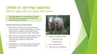 Libido or serving capacity
10% of rams will not mate with ewes.
 Serving capacity is a moderately heritable
trait that can be evaluated in a pen test
using females (in estrus).
Indirect selection for serving capacity
 Rams born to prolific ewes, and preferably
born as twins or triplets themselves, are more
likely to have a high serving capacity than
rams born to low fecundity ewes. (Australia)
 Rams born as co-twin to another ram are more
likely to have a high serving capacity than
rams born as co-twin to a ewe lamb.
(Australia)
 No difference in serving capacity of rams born
from high or low line ewes (Montana State
University).
 Monitor breeding activity
 Marking harness
 Painted brisket
 Use multiple sires
 Use clean-up rams/bucks
 