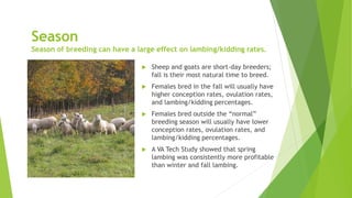 Season
Season of breeding can have a large effect on lambing/kidding rates.
 Sheep and goats are short-day breeders;
fall is their most natural time to breed.
 Females bred in the fall will usually have
higher conception rates, ovulation rates,
and lambing/kidding percentages.
 Females bred outside the “normal”
breeding season will usually have lower
conception rates, ovulation rates, and
lambing/kidding percentages.
 A VA Tech Study showed that spring
lambing was consistently more profitable
than winter and fall lambing.
 